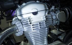 KAWASAKI W800 2011 EJ800A