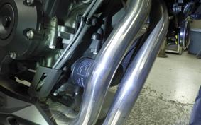 HONDA NX400 2024 NC65