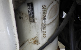 SUZUKI DJEBEL 200 (DR200SE) SH42A