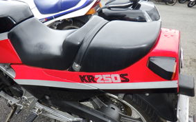 KAWASAKI KR250S 2016 KR250A