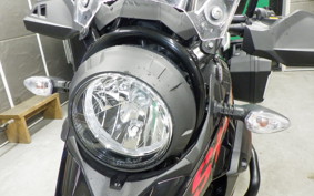 SUZUKI Vｽﾄﾛｰﾑ250A 2009