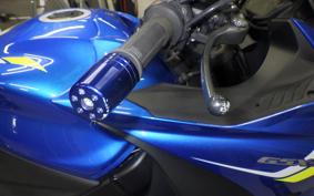 SUZUKI GSX-S1000F 2019 GT79B