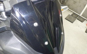 KAWASAKI Z250 A 2024 ER250C
