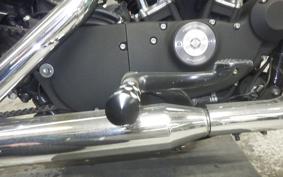 HARLEY XL883N 2010
