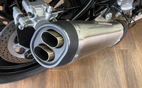 HARLEY X500 2024 W5B