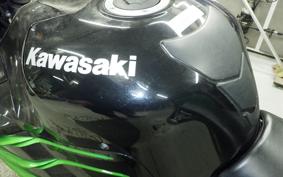 KAWASAKI ZX 1400 NINJA R A 2013