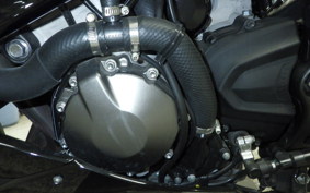 KAWASAKI NINJA ZX-6R A 2019 ZX636G