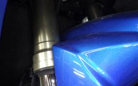 SUZUKI GSX-R1000 2010