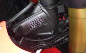 HONDA CRF250 RALLY LDA 2025 MD44