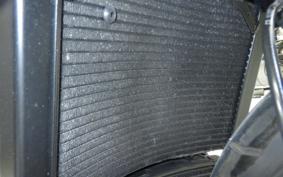 MV AGUSTA BRUTALE 800 DS RR 2020