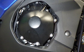 SUZUKI GSX-R1000 2010