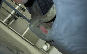 SUZUKI LET's 2 2012 CA1PA