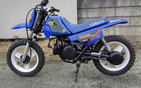 YAMAHA PW50 3PT