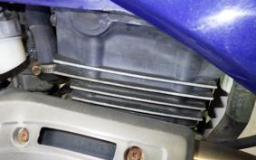 HONDA AX-1 MD21