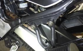 KAWASAKI SUPER SHERPA 2022 KL250G