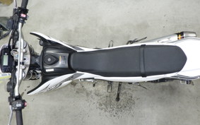 YAMAHA WR250X DG15J