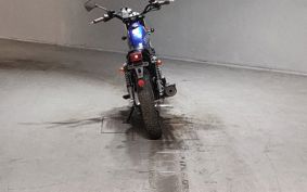 SUZUKI GLASS TRACKER BIG BOY NJ4BA