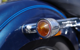 HARLEY FXDL 100th 2002 GDV
