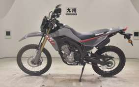HONDA CRF250L 2019 MD47