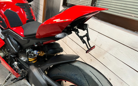 DUCATI PANIGA-REV4S 2019 DA00J