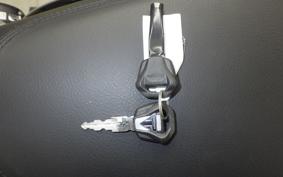 TRIUMPH BONNEVILLE T100 2024