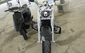HARLEY FLFBS1860 2022