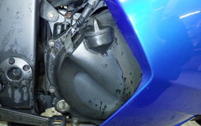 KAWASAKI NINJA 250R 2024 EX250K