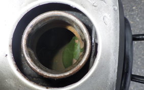 YAMAHA JOG Gen.1 3KJ