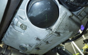 DUCATI MULTISTRADA 1000 DS 2024