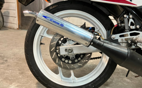 YAMAHA RZ250R 29L
