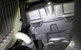 HONDA CRF250 RALLY LDA 2023 MD44