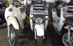 HONDA BENLY 50 AA05