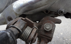 HONDA MONKEY Z50J