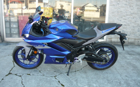 YAMAHA YZF-YZF-R3 ABS 2022 RH13J