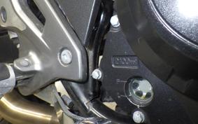 SUZUKI GSX250RA