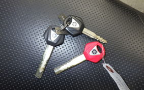 YAMAHA XJR1300 Gen.2 2009 RP17J