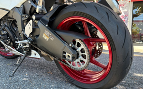KAWASAKI NINJA ZX-6R 2025 ZX636J