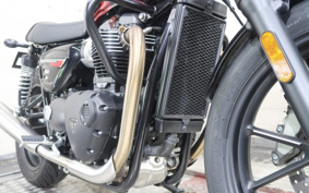 TRIUMPH SPEED TWIN 900 2024 DAD74G
