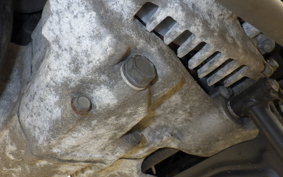 HONDA LEAD 110 2021 JF19