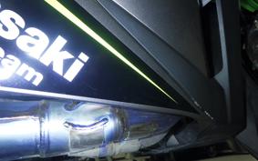 KAWASAKI ZX 10 NINJA ABS 2019