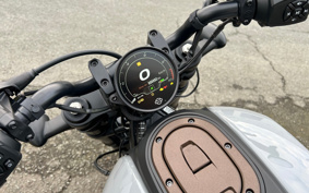 HARLEY HARLEY RH1250S 2025 ZC4