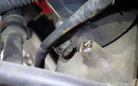 YAMAHA TW225 2005 DG09J