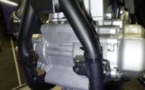 YAMAHA WR250X 2019 DG15J