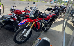HONDA CRF250 RALLY MD44