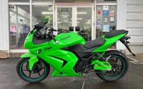 KAWASAKI NINJA 250R EX250K