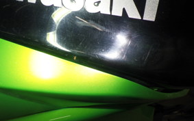 KAWASAKI NINJA 1000 2010