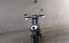 KAWASAKI SUPER SHERPA KL250G