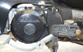 HONDA LITTLE CUB AA01