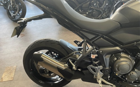 TRIUMPH TIGER SPORT 800 2025 L25P19