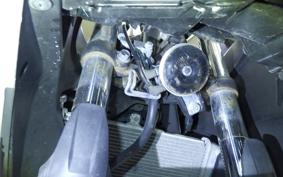 YAMAHA YZF-R25 2024 RG10J